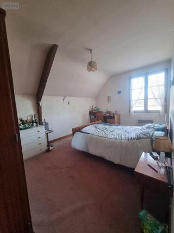 Maison individuelle à vendre à Neuvy-Saint-Sépulchre dans l'Indre (36230), ref : CG/336