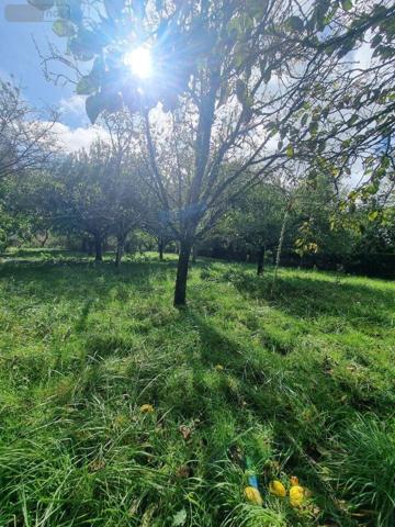 Maison individuelle à vendre à Neuvy-Saint-Sépulchre dans l'Indre (36230), ref : CG/336