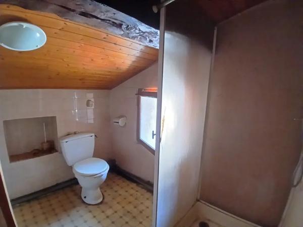 A SAISIR! ENSEMBLE IMMOBILIER 2 MAISONS, DÉPENDANCES ET TE