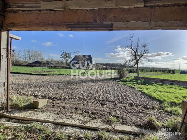 Maison à restaurer sur 2 hectares de terrain