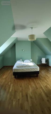 Maison à vendre à Souvigné dans l'Indre-et-Loire (37330), ref : 042/1168   
CHATEAU LA VALLIERE