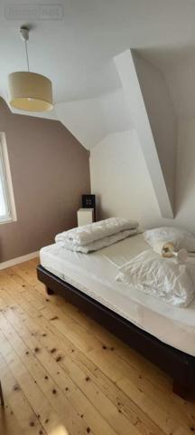 Maison à vendre à Souvigné dans l'Indre-et-Loire (37330), ref : 042/1168   
CHATEAU LA VALLIERE