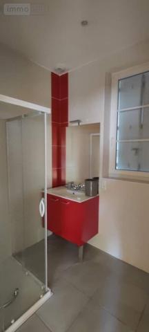 Maison à vendre à Souvigné dans l'Indre-et-Loire (37330), ref : 042/1168   
CHATEAU LA VALLIERE