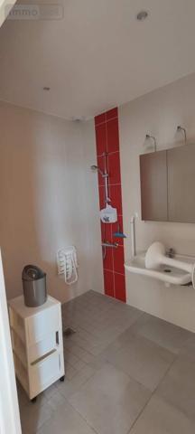 Maison à vendre à Souvigné dans l'Indre-et-Loire (37330), ref : 042/1168   
CHATEAU LA VALLIERE