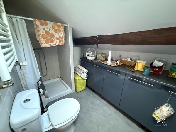86220 DANGE SAINT ROMAIN Ensemble immobilier Dangé-Saint-Romain 223m2