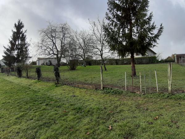 Terrain constructible