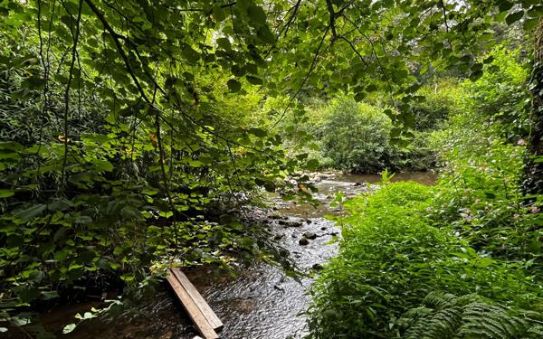 Maison à vendre    6 pièces • 298 m2 Saint-Laurent-sur-Gorre