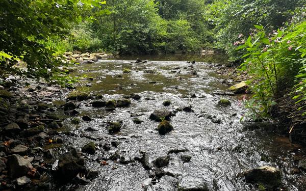 Maison à vendre    6 pièces • 298 m2 Saint-Laurent-sur-Gorre