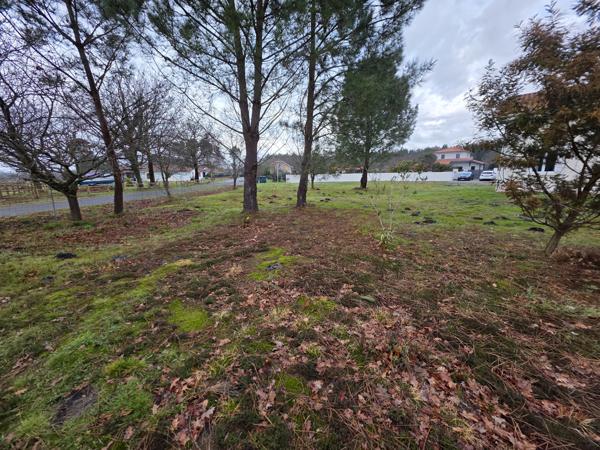 Terrain - 947 m² Exclusivité efficity