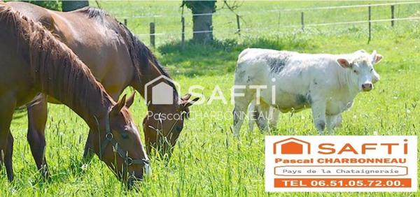 Fermette longere 1 hectare 50 2 dependances 430+450 M² 4 chambres