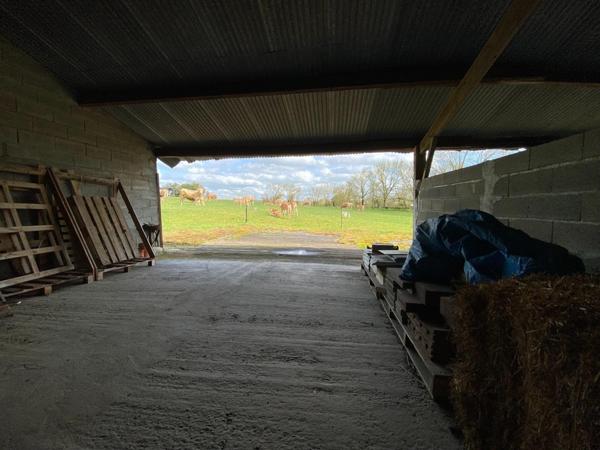 Fermette longere 1 hectare 50 2 dependances 430+450 M² 4 chambres