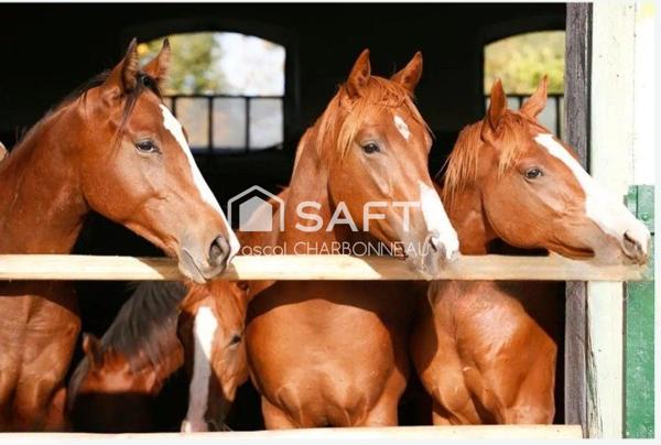 Fermette longere 1 hectare 50 2 dependances 430+450 M² 4 chambres