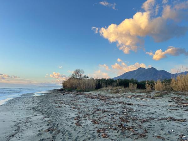 Appt T2 bord de mer avec terrasse, parking privé