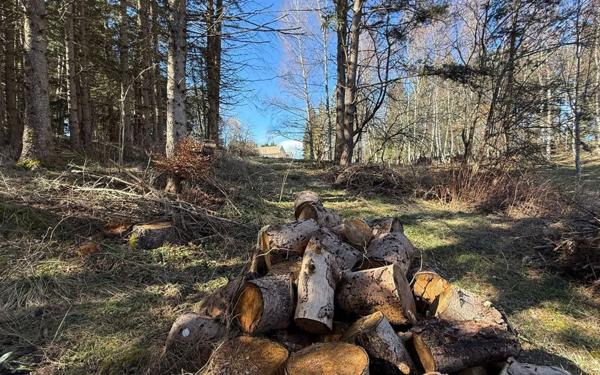 Maison à vendre    8 pièces •  Rieutort-de-Randon