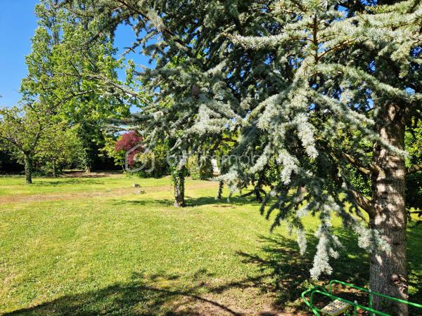 Découvrez cette propriété de caractère aux volumes généreux, idéale pour une grande famille, un projet de gîtes ou chambres d’hôtes, ou comme résidence secondaire. Située à 15 min de Houdan, sur le village de Cherisy et à moins de 45min de Paris, cette propriété est un havre de paix !

Implantée sur un terrain magnifiquement arboré et parfaitement entretenu, cette demeure de 11 pièces offre un potentiel remarquable et un cachet unique, tout en nécessitant quelques travaux de rafraîchissement pour révéler pleinement son charme.

Au rez-de-chaussée :
Un très beau salon central cathédrale, baigné de lumière, avec une belle hauteur sous plafond et sa grande cheminée avec insert, donne sur  une salle à manger attenante d’environ 23 m², qui s’ouvre sur une vaste véranda lumineuse, offrant une vue dégagée sur le jardin et un accès direct à une grande terrasse d’environ 40 m².
    • Aile droite : deux chambres, avec leurs salles de bain et WC privatifs, ainsi qu’un bureau pouvant servir de 3ème chambre.
    • Aile gauche : une grande cuisine, avec son arrière-cuisine, et un accès à une surprenante cave, ainsi qu’un atelier pouvant facilement être transformé en bureau spacieux ou espace professionnel (d'environ 25m2).

À l’étage :
    • Aile droite : une grande mezzanine surplombant le salon, agrémentée d’une magnifique cheminée avec insert, actuellement aménagée en salle de billard. Un couloir dessert ensuite deux grandes chambres, une salle de bain et un WC.
    • Aile gauche : deux grandes chambres supplémentaires (22m2 et 28m2), une salle d’eau attenante, deux pièces de rangement et un WC indépendant.

Extérieurs et annexes :
Avec ces 2 façades très différentes, vous retrouvez 2 ambiances. Côté jardin, une façade restée au naturel avec sa vigne vierge et côté entrée de la propriété, une façade joliment refaite pour un bel effet pierre.
Une dépendance complète l’ensemble, comprenant trois chambres froides, des espaces de stockage ainsi qu’un très grand garage motorisé d’environ 30 m².

Prestations techniques :
    • Pompe à chaleur récente (2023)
    • Chauffe-eaux thermodynamiques
    • Volets roulants 
    • Fibre optique (idéal télétravail)
    • Raccordement au tout-à-l’égout
    • Très bon DPE : C / GES : A

Les atouts :
Très beaux volumes, nombreuses possibilités d’aménagement, environnement paisible et verdoyant… une propriété rare sur le marché, parfaite pour concrétiser vos projets de vie ou d’accueil.

À découvrir sans tarder.