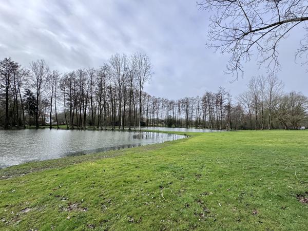 Nieul-le-Dolent (85430) Terrain de Loisir - 13.512 m2 - 2 étangs