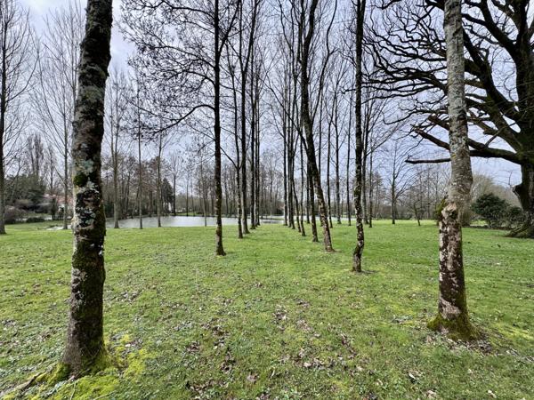 Nieul-le-Dolent (85430) Terrain de Loisir - 13.512 m2 - 2 étangs