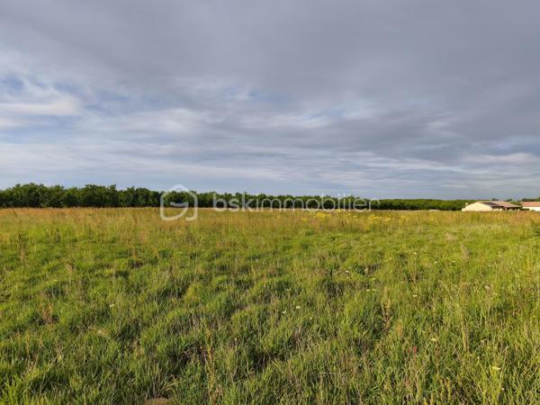 Ce terrain, constructible attend votre projet de construction.
 Le terrain est plat, en fin de zone résidentielle, tourné vers la campagne, tout en étant proche des commodités.
Il vous restera la viabilisation à prévoir pour votre maison individuelle.
L'eau et l'électricité passent tout proche.
Vous pouvez également prévoir un redécoupage allant de 9 à 12 logements.