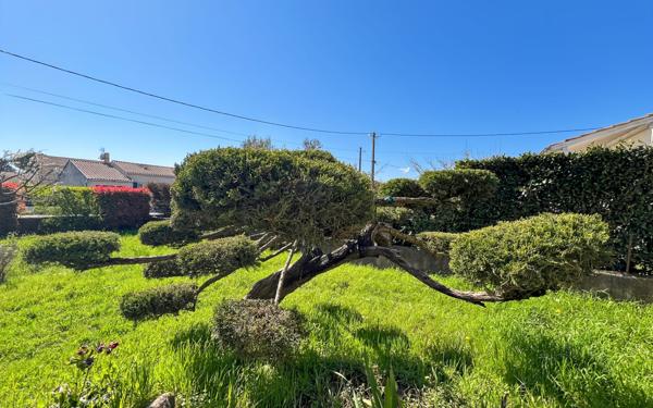 Maison à vendre    3 pièces • 88,43 m2 Livron-sur-Drôme