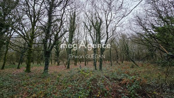 Maison à KERGRIST-MOELOU, 22110 - 14 pièces 393m²