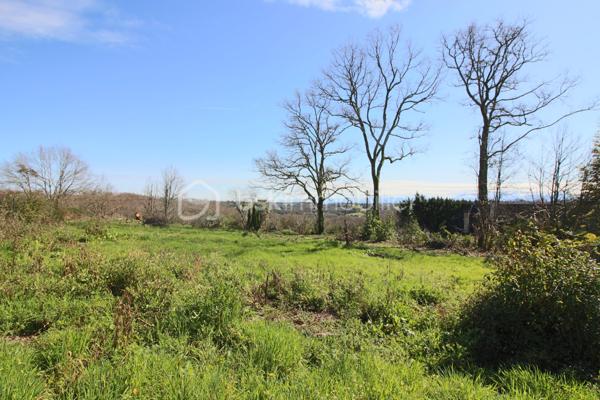 Terrain de 1 200 m²