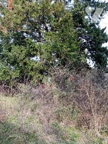 Terrain à bâtir viabilisé de 1793m² sur BOEN SUR LIGNON