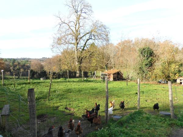 87600 ROCHECHOUART - Maison de 140 m²