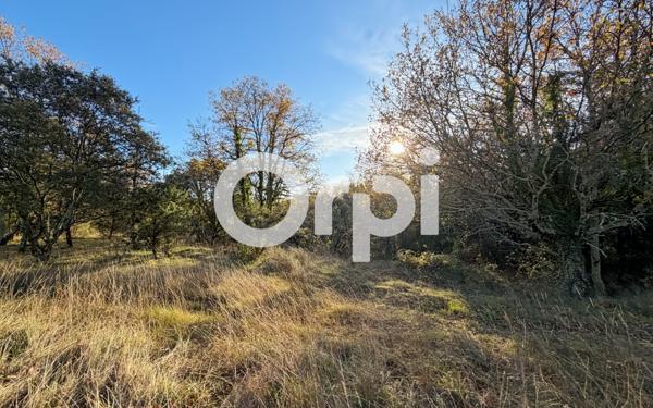 Terrain à vendre    Vallon-Pont-d'Arc
