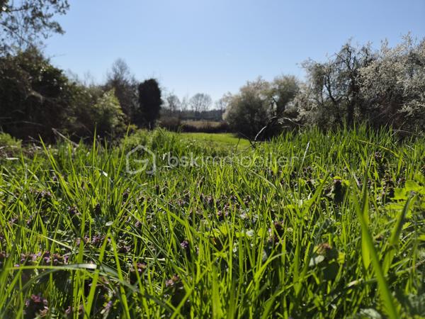 Maison neuve 111 m² + Terrain 2 638 m² – Permis accordé – Projet clé en main
Situé au calme absolu, au bout d’une impasse sur la commune de Saint Michel sur Loire, ce projet vous offre l’opportunité rare d’acquérir un terrain entièrement viabilisé accompagné d’un permis de construire déjà accepté (gain de temps considérable) pour une maison moderne de 111 m² avec carport attenant possible.
🌿 Le terrain – 2 638 m² au total
•	Une première parcelle de 1 470 m², dont 750 m² constructibles sur un beau plateau exposé plein sud.
•	Une seconde parcelle de 1 168 m², en face, partiellement boisée : idéale pour jardin, loisirs, détente ou animaux.
•	Terrain viabilisé, réseaux amenés jusqu’à l’emplacement de la maison.
•	Assainissement individuel installé.
•	Pluviales déjà raccordées au réseau
•	Chemin d’accès chantier déjà réalisé. 
→ Plus de 25 000 € d’économies déjà intégrées dans le projet.
🏠 La maison – 111 m² habitables (permis accordé)
Le permis porte sur une maison contemporaine comprenant :
•	Grande pièce de vie lumineuse ouverte sur le jardin,
•	3 chambres,
•	Cellier,
•	Carport attenant,
•	Prestations modernes : chauffage au sol, pompe à chaleur, domotique, etc.
Un constructeur a déjà chiffré cette maison : 👉 Projet global terrain + construction : moins de 278 000 € Une opportunité exceptionnelle pour une maison neuve de cette surface dans un cadre naturel et paisible.
☀️ Cadre de vie
Exposition plein sud, environnement calme, nature préservée, à :
•	7 min de Langeais,
•	9 min de l’A85,
•	25 min de Tours Ouest.
💡 Primo accédants : PTZ disponible sur ce secteur
📩 Pour en savoir plus sur le projet, les plans, le chiffrage ou organiser une rencontre, contactez moi. Je vous accompagne pour construire sereinement votre futur lieu de vie.