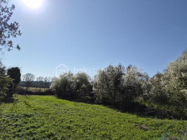 Maison neuve 111 m² + Terrain 2 638 m² – Permis accordé – Projet clé en main
Situé au calme absolu, au bout d’une impasse sur la commune de Saint Michel sur Loire, ce projet vous offre l’opportunité rare d’acquérir un terrain entièrement viabilisé accompagné d’un permis de construire déjà accepté (gain de temps considérable) pour une maison moderne de 111 m² avec carport attenant possible.
🌿 Le terrain – 2 638 m² au total
•	Une première parcelle de 1 470 m², dont 750 m² constructibles sur un beau plateau exposé plein sud.
•	Une seconde parcelle de 1 168 m², en face, partiellement boisée : idéale pour jardin, loisirs, détente ou animaux.
•	Terrain viabilisé, réseaux amenés jusqu’à l’emplacement de la maison.
•	Assainissement individuel installé.
•	Pluviales déjà raccordées au réseau
•	Chemin d’accès chantier déjà réalisé. 
→ Plus de 25 000 € d’économies déjà intégrées dans le projet.
🏠 La maison – 111 m² habitables (permis accordé)
Le permis porte sur une maison contemporaine comprenant :
•	Grande pièce de vie lumineuse ouverte sur le jardin,
•	3 chambres,
•	Cellier,
•	Carport attenant,
•	Prestations modernes : chauffage au sol, pompe à chaleur, domotique, etc.
Un constructeur a déjà chiffré cette maison : 👉 Projet global terrain + construction : moins de 278 000 € Une opportunité exceptionnelle pour une maison neuve de cette surface dans un cadre naturel et paisible.
☀️ Cadre de vie
Exposition plein sud, environnement calme, nature préservée, à :
•	7 min de Langeais,
•	9 min de l’A85,
•	25 min de Tours Ouest.
💡 Primo accédants : PTZ disponible sur ce secteur
📩 Pour en savoir plus sur le projet, les plans, le chiffrage ou organiser une rencontre, contactez moi. Je vous accompagne pour construire sereinement votre futur lieu de vie.