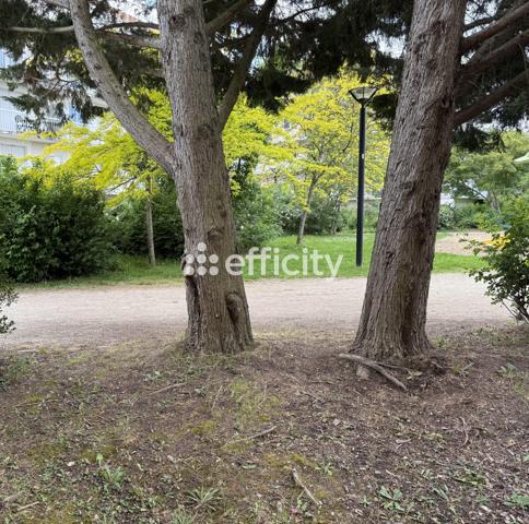 Appartement
         4 pièces
        - 81 m²