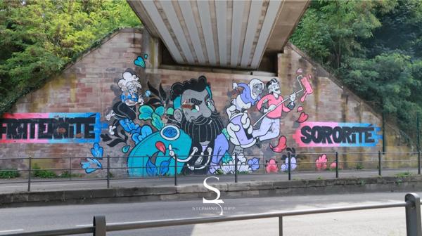 Appartement 4 pièces, terrasse panoramique - STRASBOURG (67) À VENDRE