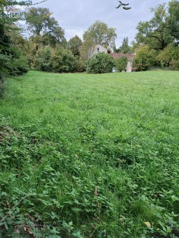 Grand terrain constructible de 4 900 m² à deux pas du centre de Ribérac