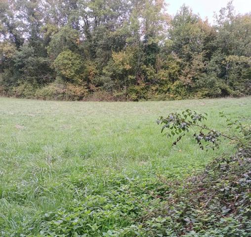 Grand terrain constructible de 4 900 m² à deux pas du centre de Ribérac