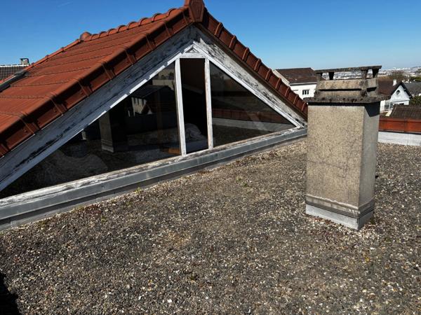 Maison à visiter sans tarder "coup de coeur" 8 pièces terrain 480 m² sans vis à vis