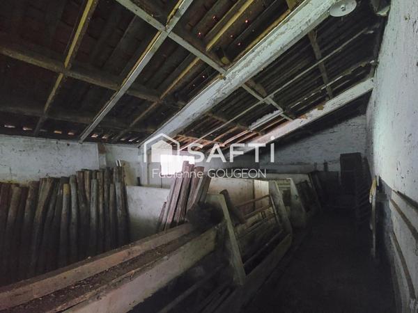 Magnifique maison charentaise a restaurer 100 m2 en hab.