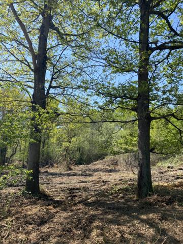 Challans (85300) CHALLANS - TERRAIN CONSTRUCTIBLE DE 2 200 M²