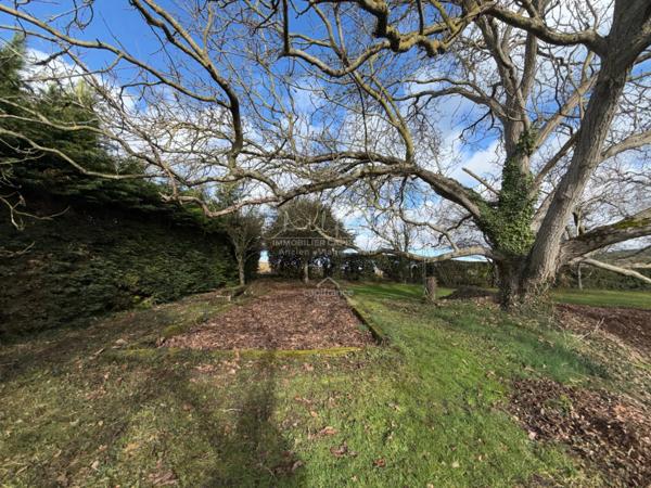 VIAGER OCCUPÉ – Maison de caractère avec piscine + dépendances – Grand jardin – LÉSIGNY (86)