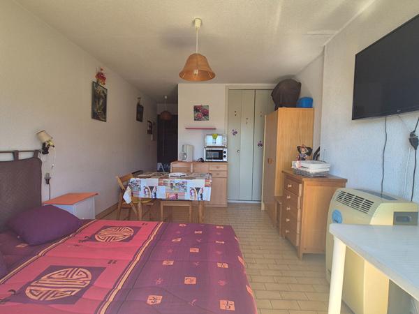 Appartement Balaruc Les Bains 1 pièce(s) 19 m2+ parking