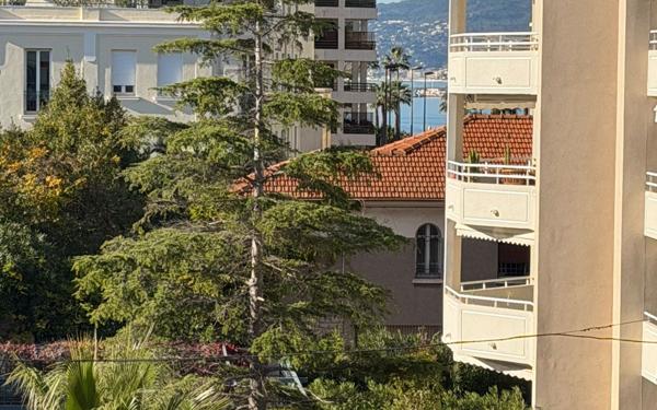 Appartement à louer    1 pièce • 24,39 m2 Cannes