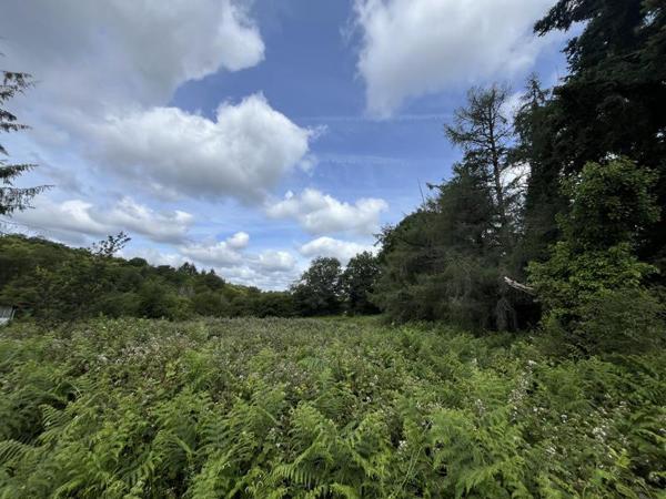 Terrain à vendre 25 000 € Cieux 4316 m² DPE