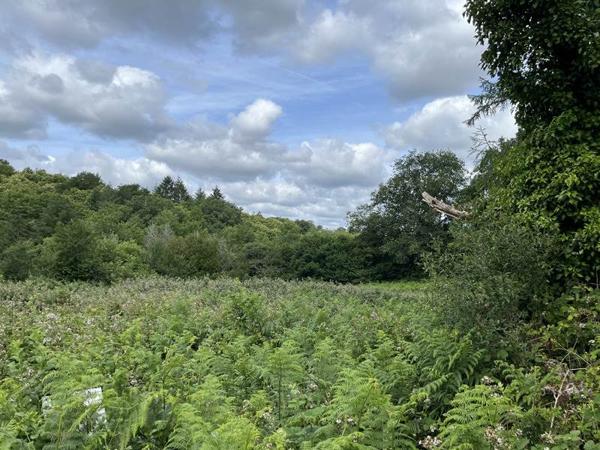 Terrain à vendre 25 000 € Cieux 4316 m² DPE