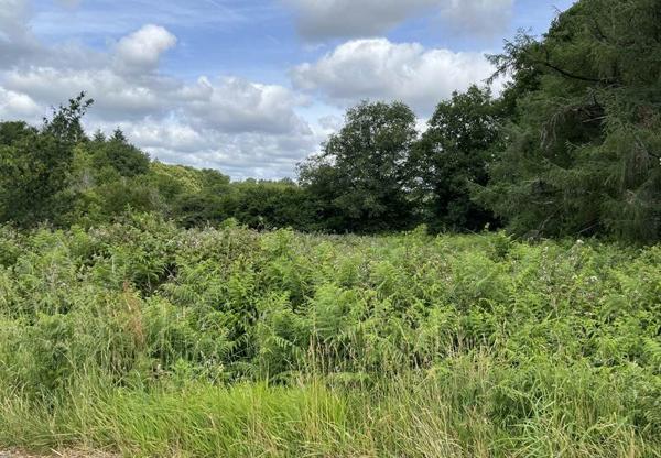 Terrain à vendre 25 000 € Cieux 4316 m² DPE
