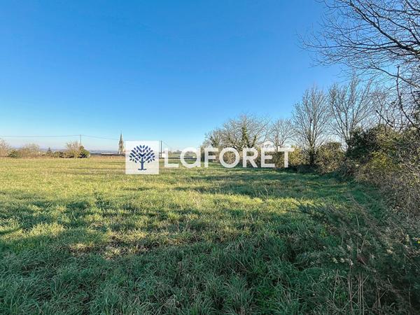 Achat terrain près de MAULEON - 445 m² - 49 900 €