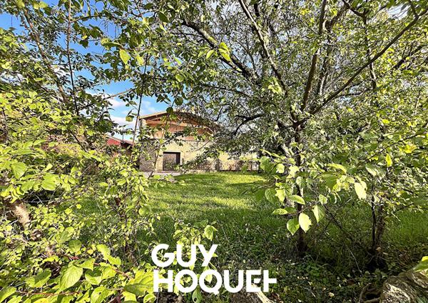 Propriété Viticole en Pierre - Deux Maisons + Dépendances et Terrain - 71960 FUISSE