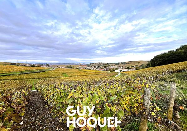 Propriété Viticole en Pierre - Deux Maisons + Dépendances et Terrain - 71960 FUISSE