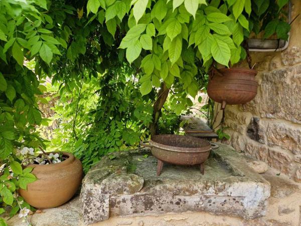 Maison ancienne - Saint-cyprien Authentique maison perigordine en pierres, rénovée avec piscine et Jardin