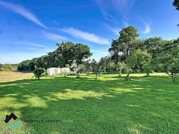 À 2 km des plages – Maison familiale avec plus de 11 000 m² de terrain au calme