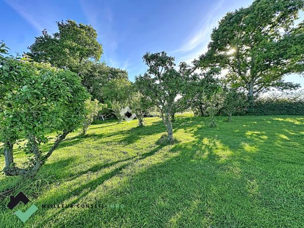 À 2 km des plages – Maison familiale avec plus de 11 000 m² de terrain au calme
