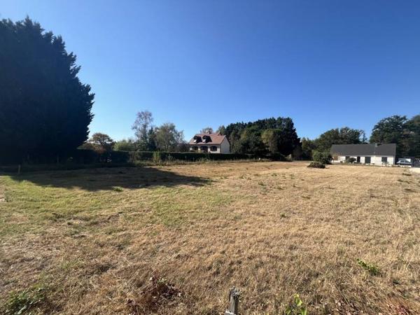 Terrain 44 000 € Selles-Saint-Denis 1550 m² DPE